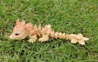 Image 1 of Baby Orangey Cherry Blossom Dragon 