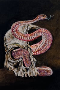 Image 1 of Venom