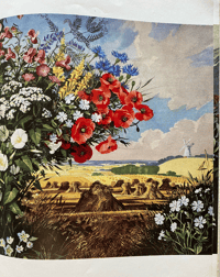 Image 3 of The Shell Guide to Flowers of The Countryside