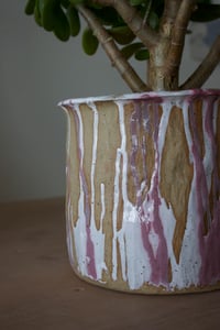 Image 2 of Planter | Raspberry Ripple