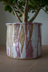 Image 1 of Planter | Raspberry Ripple