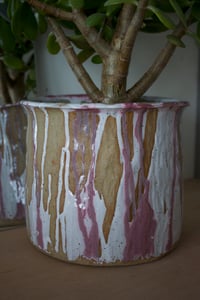 Image 3 of Planter | Raspberry Ripple