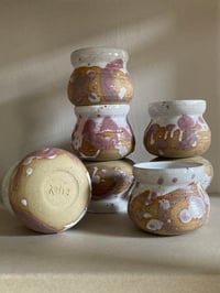 Image 2 of Small Pots | Raspberry Ripple