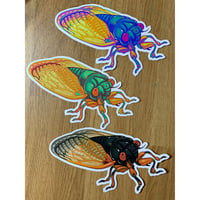 Image 1 of Cicada Sticker (3 Colors!)