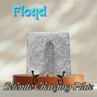 Image 5 of Floyd; Etched Selenite Charging Slab