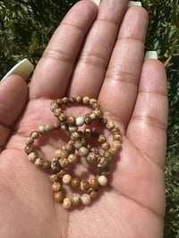 Image 1 of Petrified Wood Jasper