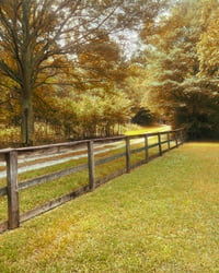 Image 4 of Outdoor Fall Family Mini Sessions - Saturday, November 9th