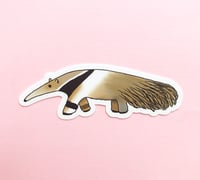 Image 1 of Anteater Vinyl Sticker