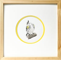 Image 1 of Puff Piece by Danika Ostrowski - Framed Original Drawing