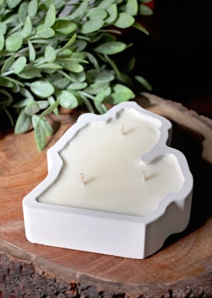 Image of Michigan Concrete Candle