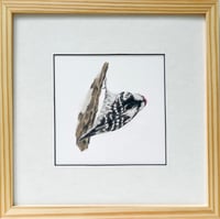 Image 1 of I Can Go Lower by Danika Ostrowski - Framed Original Drawing