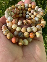 Image 1 of Coral Jade 