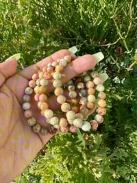 Image 2 of Coral Jade 
