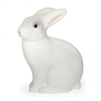 Rabbit Night light