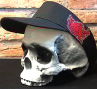 Image 1 of FRCTR VISOR