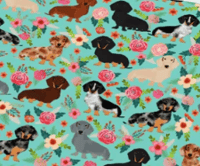 Dachshund - Turquoise  