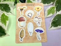 Image 1 of Mushroom Sticker Sheet