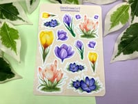 Image 1 of Crocus Sticker Sheet