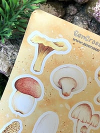 Image 3 of Mushroom Sticker Sheet