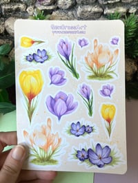 Image 2 of Crocus Sticker Sheet