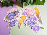 Image 1 of Crocus Sticker Pack