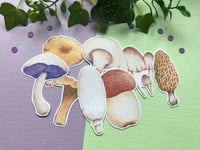 Image 1 of Mushroom Sticker Pack - 229