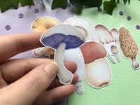 Image 2 of Mushroom Sticker Pack