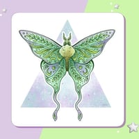 Image 1 of Art Print - Luna Moth