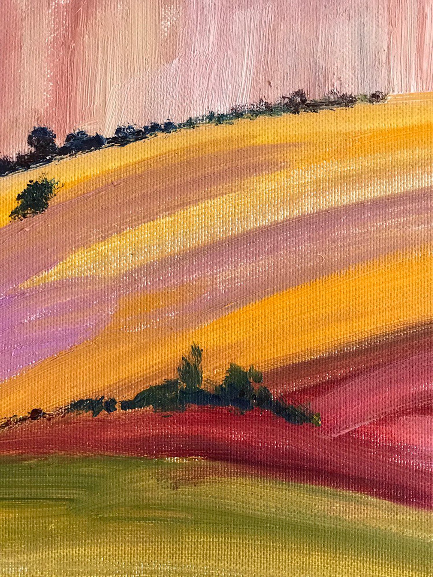 Image of Meadow landscape