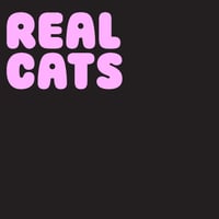 Real Cats 