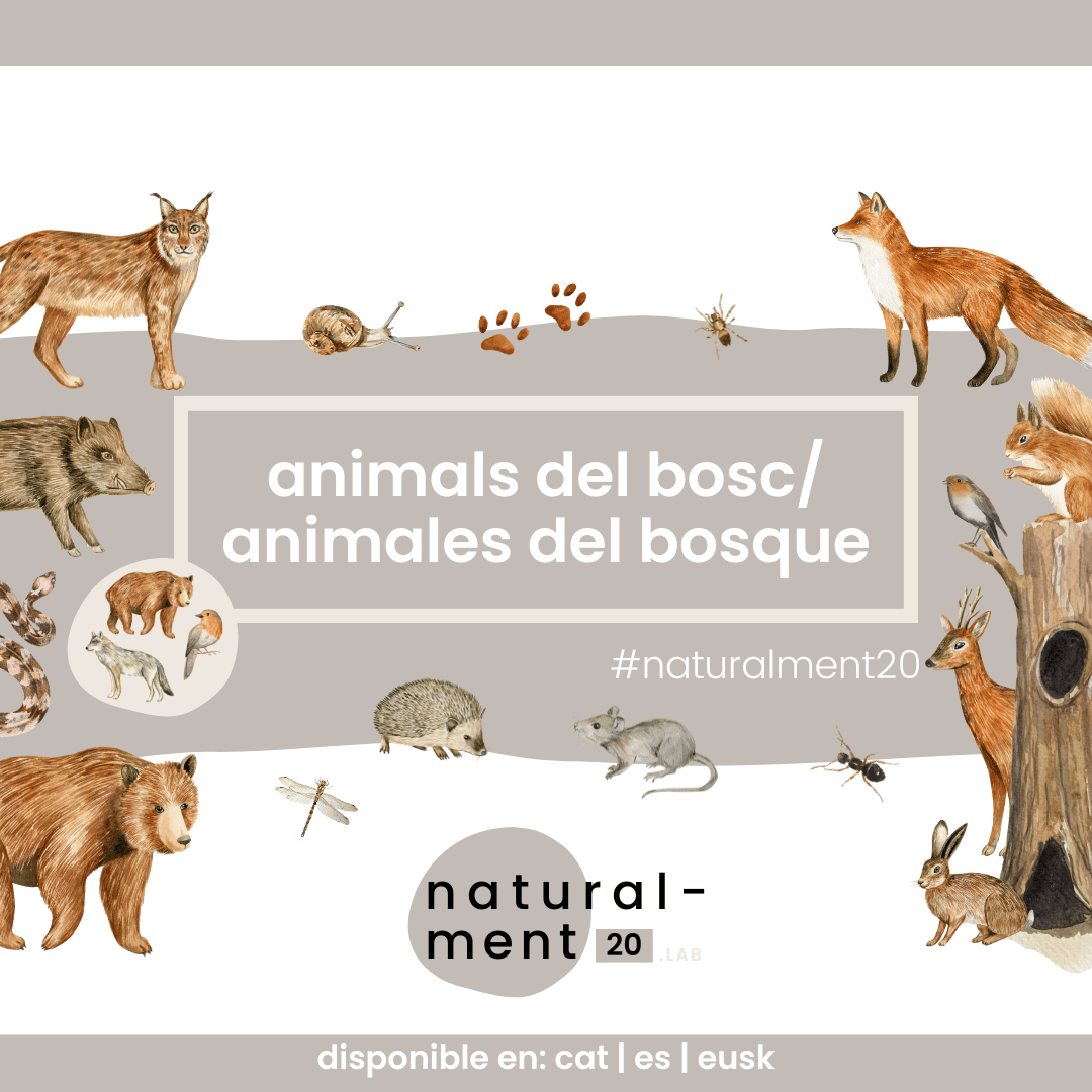 ANIMALS DEL BOSC / ANIMALES DEL BOSQUE