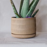 Image 1 of Carved Planter & Drip Dish