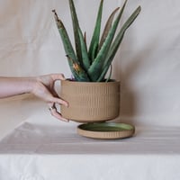 Image 2 of Carved Planter & Drip Dish