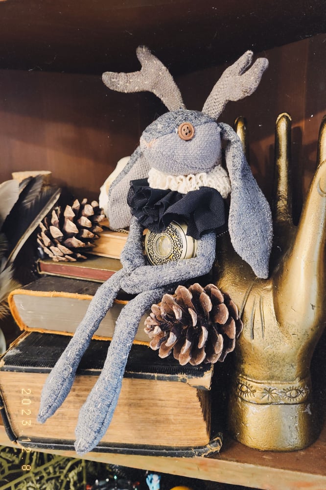 Image of Jaq the Antiquarian Jackalope