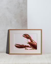 Luscious Lobster #1 (frame incl.)