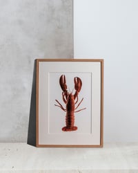 Luscious Lobster #2 (frame incl.)
