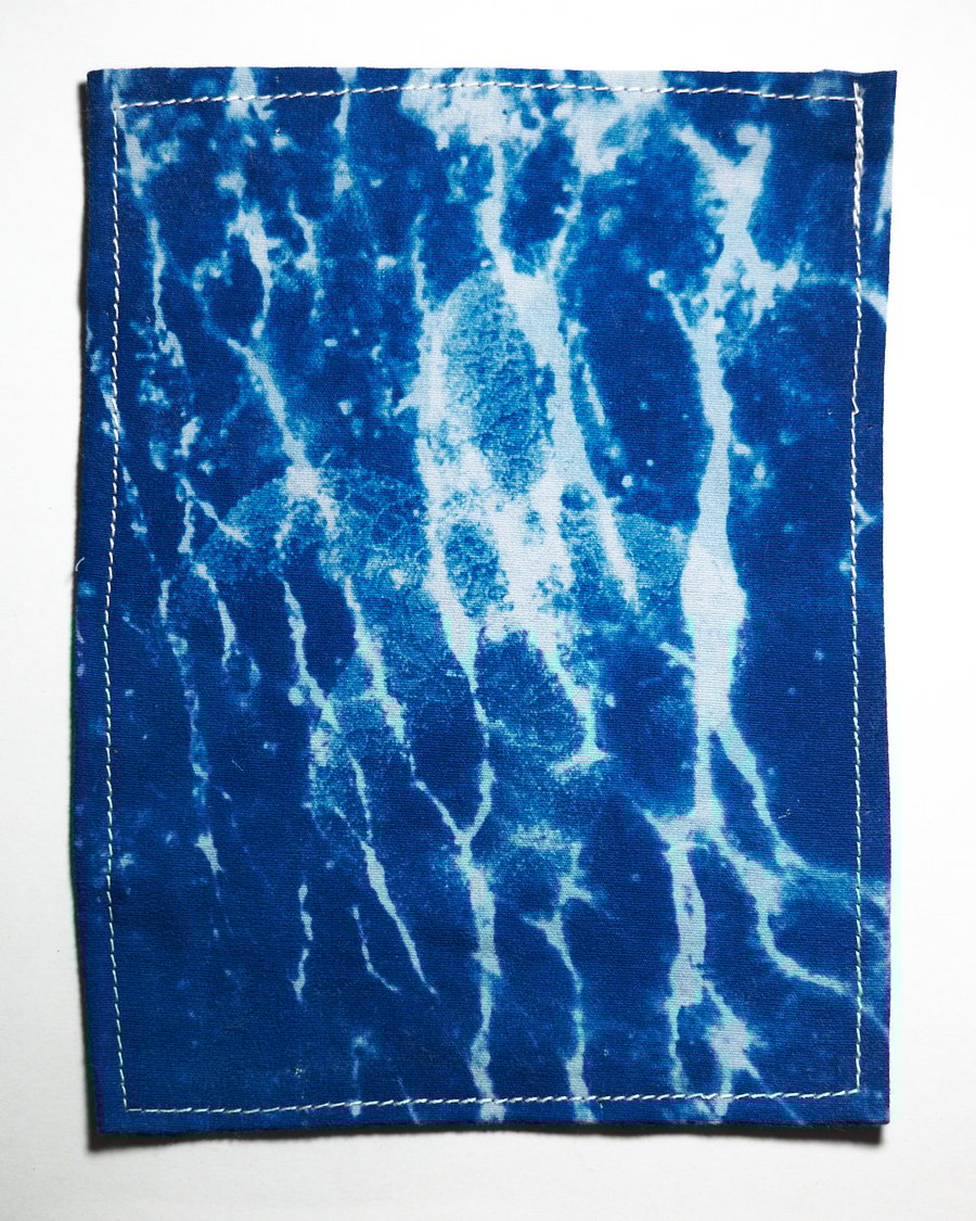 Image of Big Ocean Starfish Cyanotype Patch