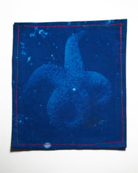 Medium Starfish Cyanotype Patch