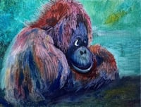 Lady Seen at Vienna Zoo