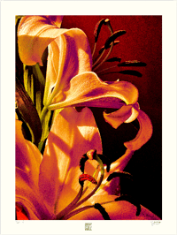 Image 1 of VERY DRAMATIC (24X18)