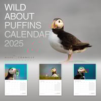 Wild About Puffins Calendar 2025
