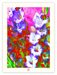 Image 1 of GLADIOLA EXPLOSION (24X18)