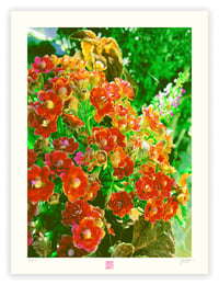 Image 1 of LIKE A BOX OF CANDY (24X18)