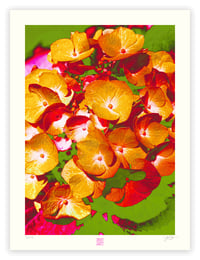 Image 1 of ORANGE DAZE (24X18)