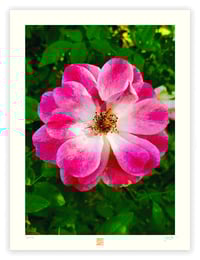 Image 1 of FLORAL PERFECTION (24X18)