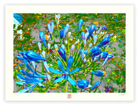 Image 1 of AN AGAPANTHA GANG (18X24)
