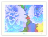 Image 1 of SUBDUED DAHLIAS (18X24)