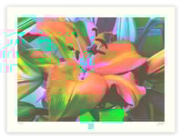 Image 1 of STARGAZER FROM MARS (18X24)
