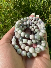 Image 1 of Lucky Jade 
