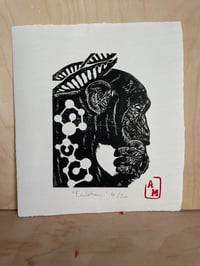 ‘ Evolution ‘